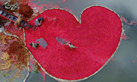 Cranberry heart