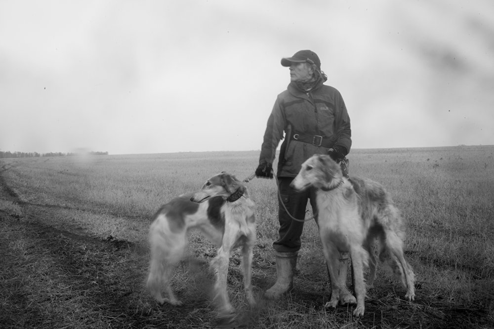 Hunting with dogs