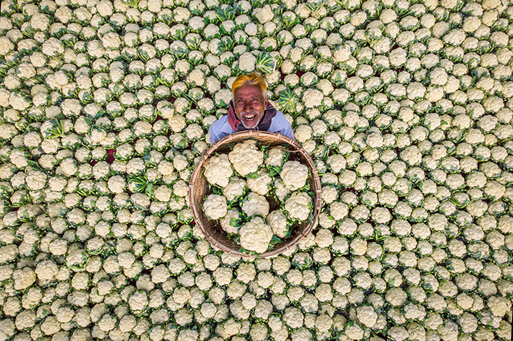 Happy Farmer