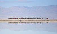 The 20th Tour of Qinghai Lake cycling race 