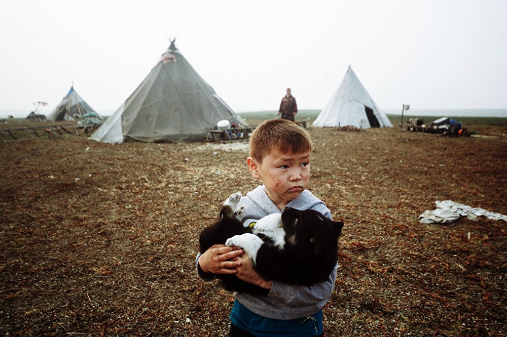 Children of the arctic