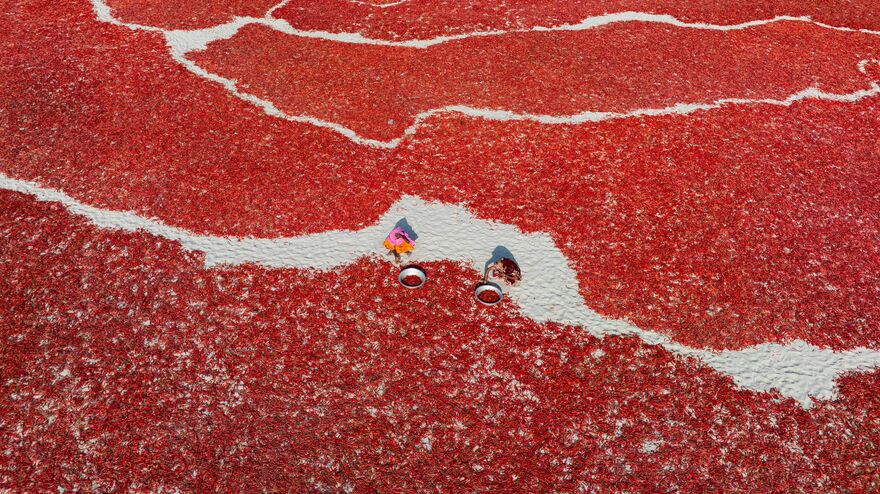 From Soil to Spice