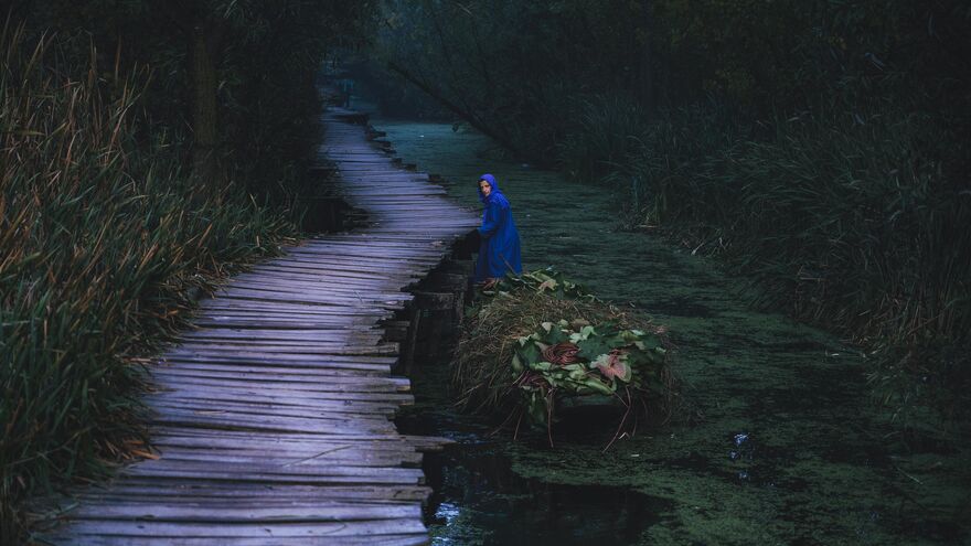 The hues of hardship 