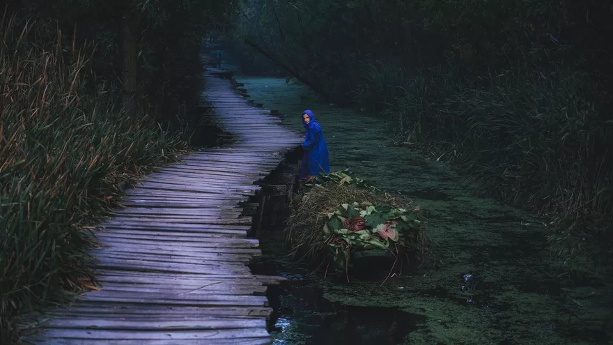 The hues of hardship 