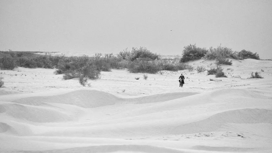 Alive: Nogai Steppe desert