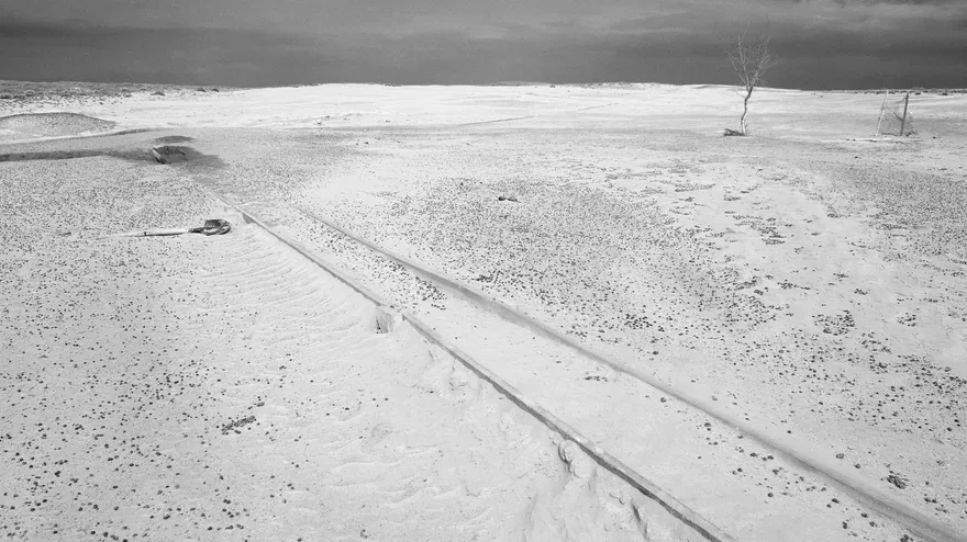 Alive: Nogai Steppe desert