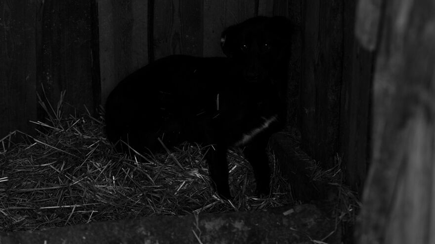 In an enclosure