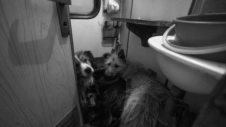 In the train