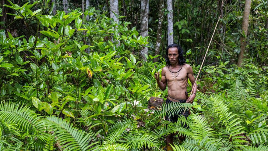 A Nickel Rush Threatens Indonesia’s Last Nomadic Tribes and Its Forest
