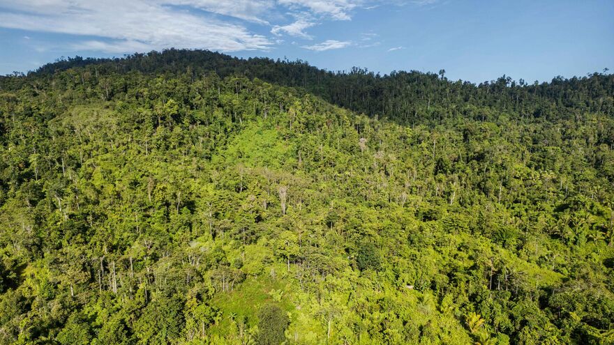 A Nickel Rush Threatens Indonesia’s Last Nomadic Tribes and Its Forest