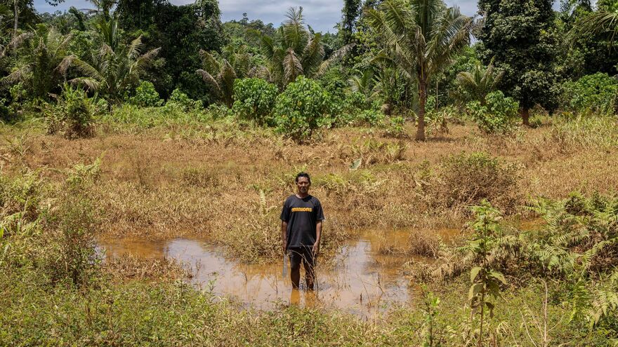 A Nickel Rush Threatens Indonesia’s Last Nomadic Tribes and Its Forest