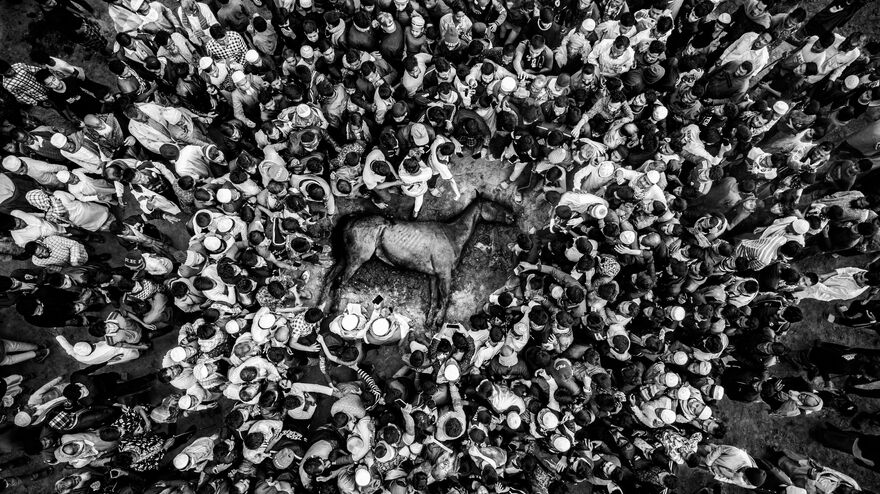 The Last Race : Fall of a Champion.