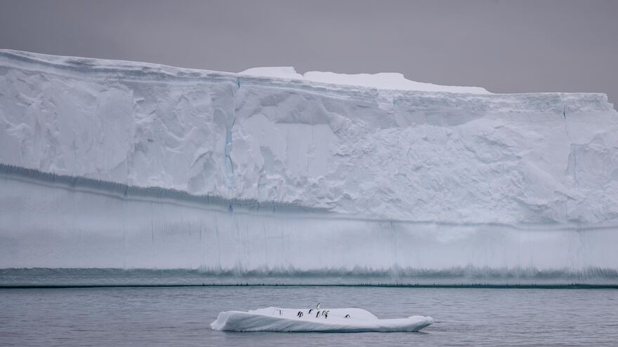 No Plan B – Our Planet