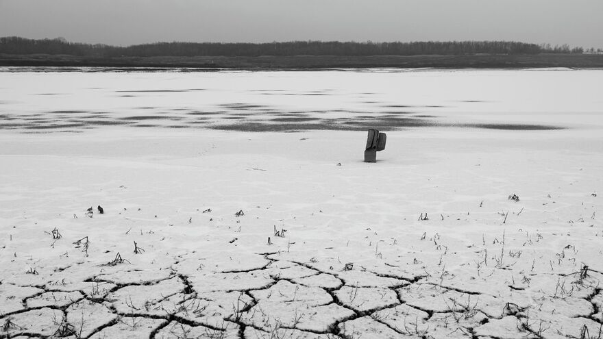 The land