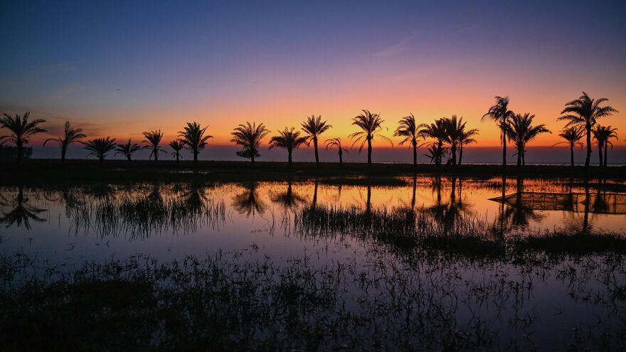 Beautiful Landscape