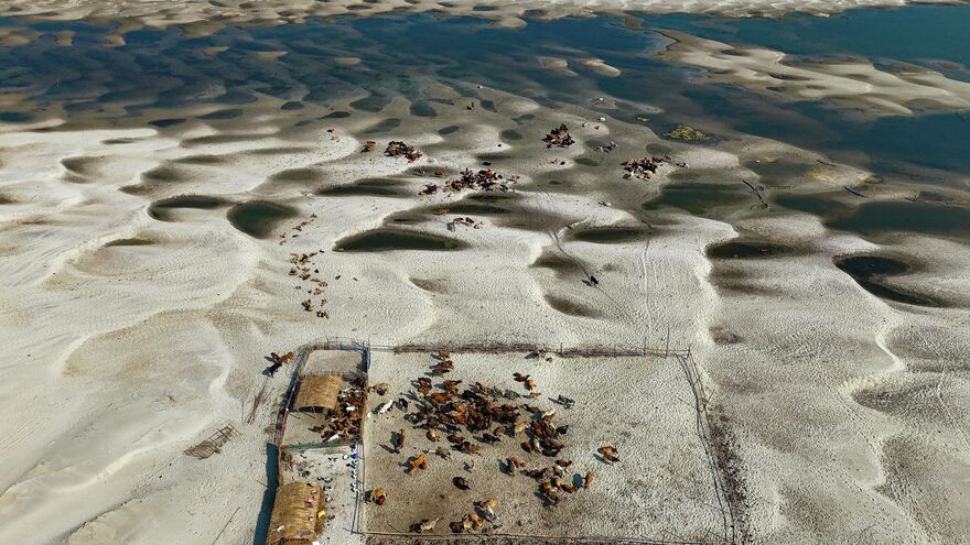 Life On Sandbar