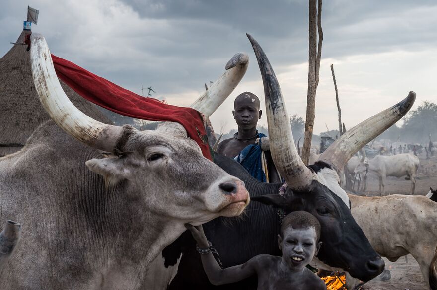South Sudan: from war to life.