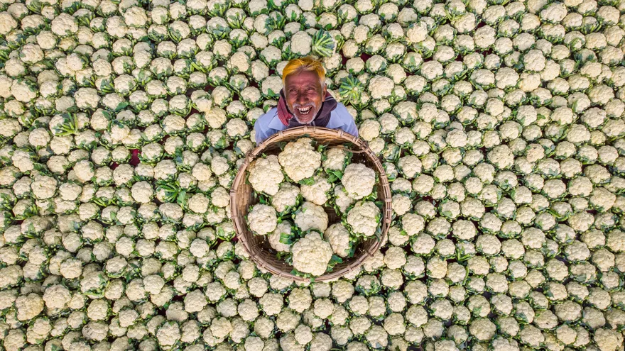 Happy Farmer Happy Farmer
